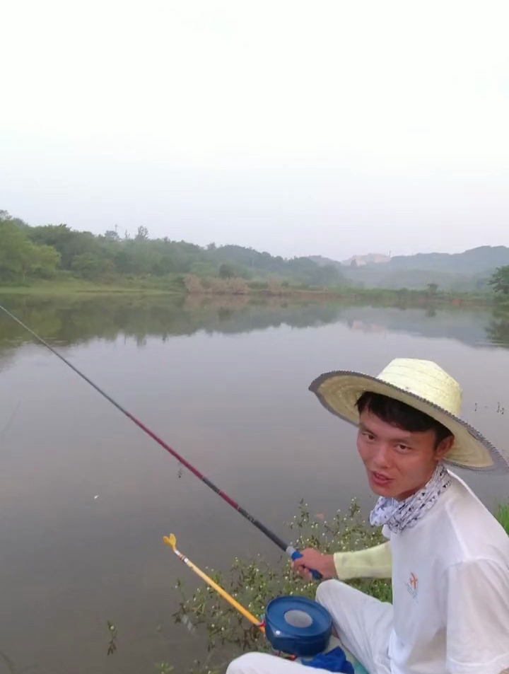 纯野钓金色大草鱼