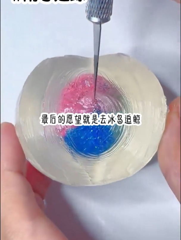去冰岛追鲸鱼?这是啥要求