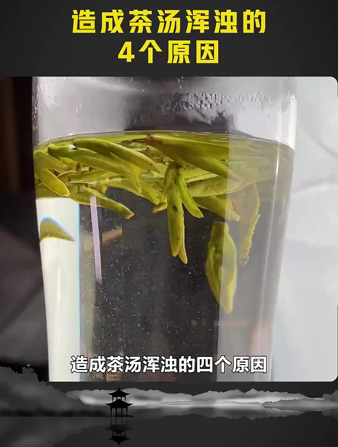 茶汤浑浊的四个原因,最后一个不好把握!