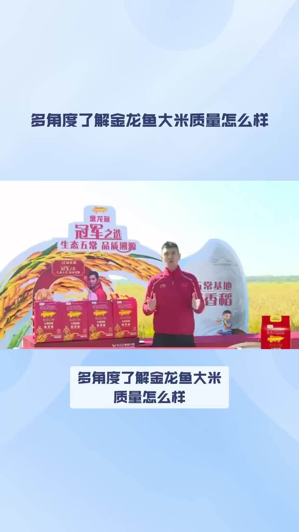 多角度了解金龙鱼大米质量怎么样