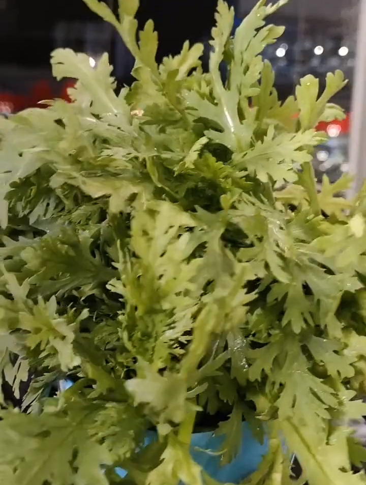 带上你的好朋友一起来吃海南文昌鸡