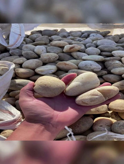 江津草坪绿地假山石 园林景观装饰铺路天然鹅卵石