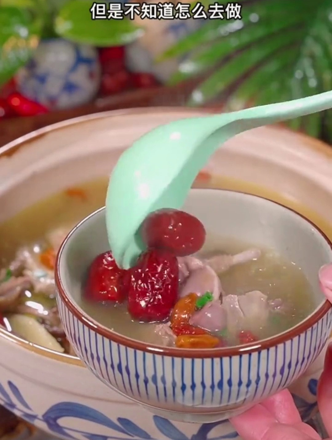 今天分享正确的鸽子汤做法
