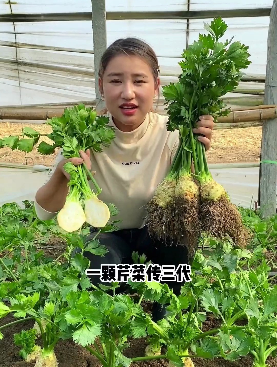 家中常见的“调料菜”,很多人只吃叶子,却不知“根系”才是宝!