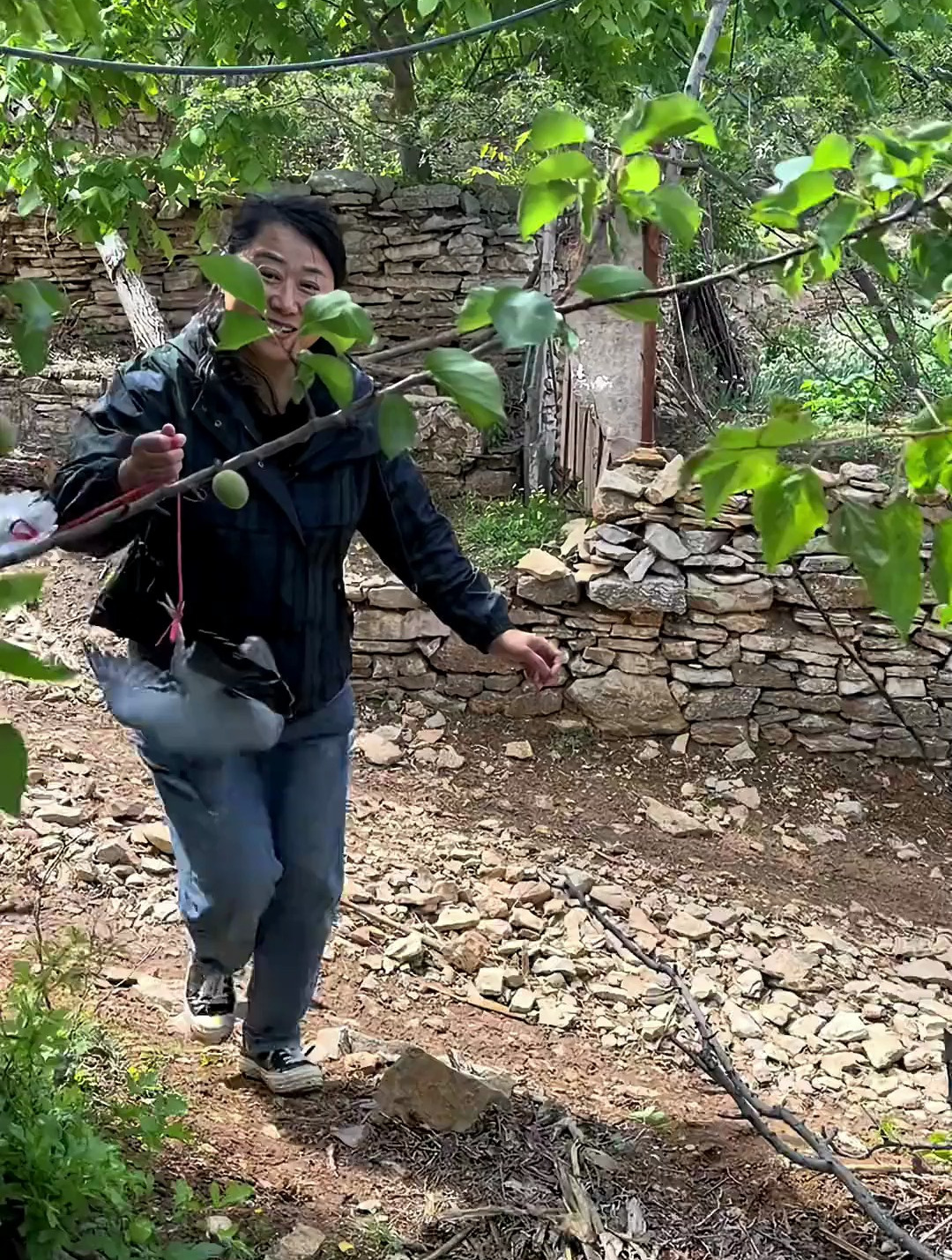 二十年前,我们村每家农家乐都有的一道经典菜品,小饼卷鸽子渣