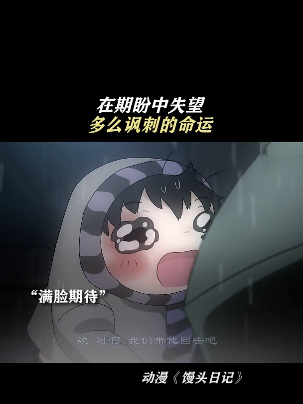 馒头日记:在期盼中失望,多么讽刺的命运