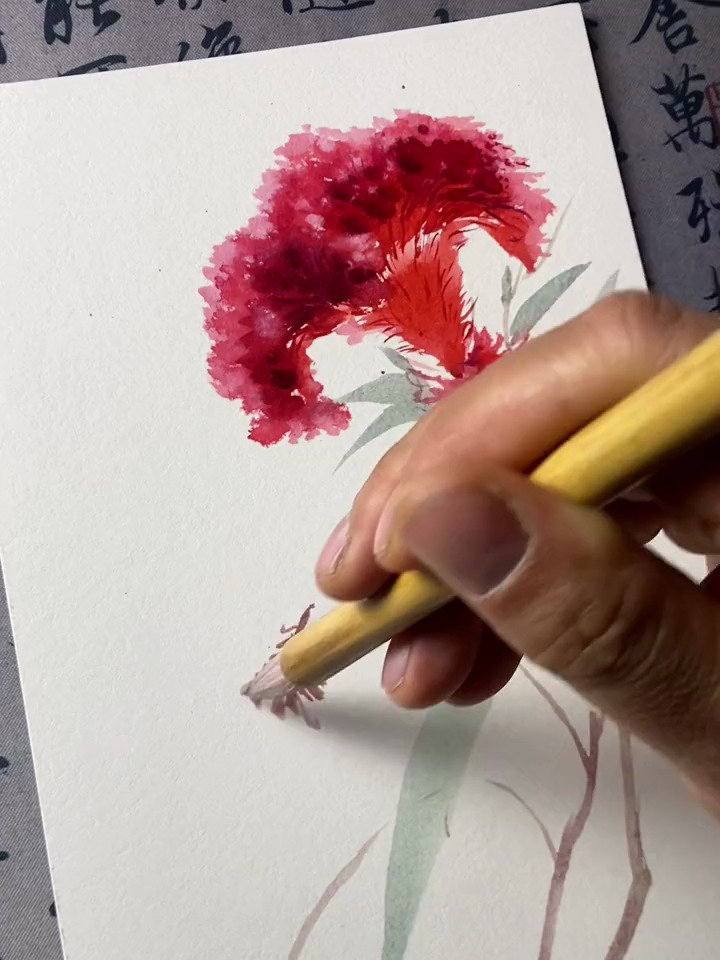 初见不觉喜欢,画完却欢喜～鸡冠花