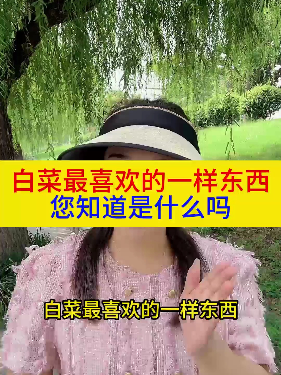 白菜最喜欢的一样东西,您知道是什么吗