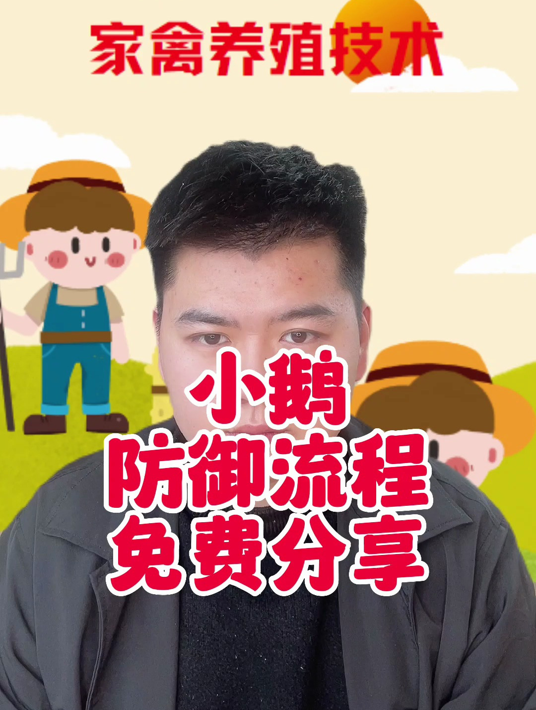 鹅成活率低是什么原因 鹅成活率低怎么办 小鹅怎么喂养成活效率高