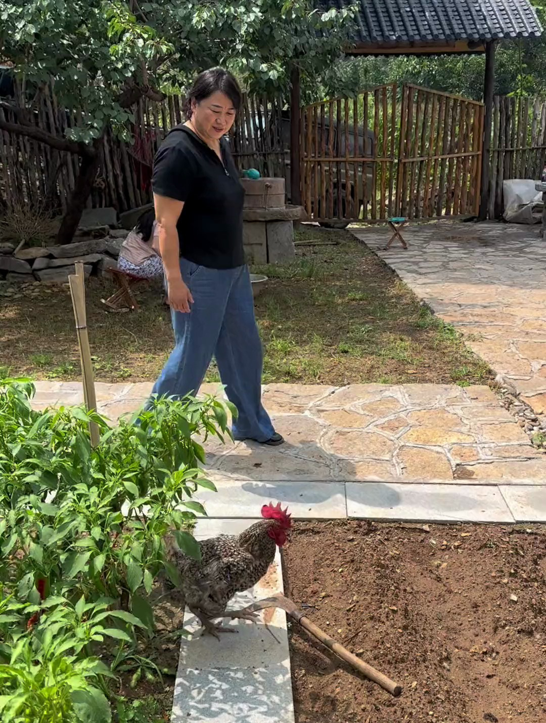 芦花大公鸡经过两个小时腌制,四个小时烤制变成了荷叶叫花鸡