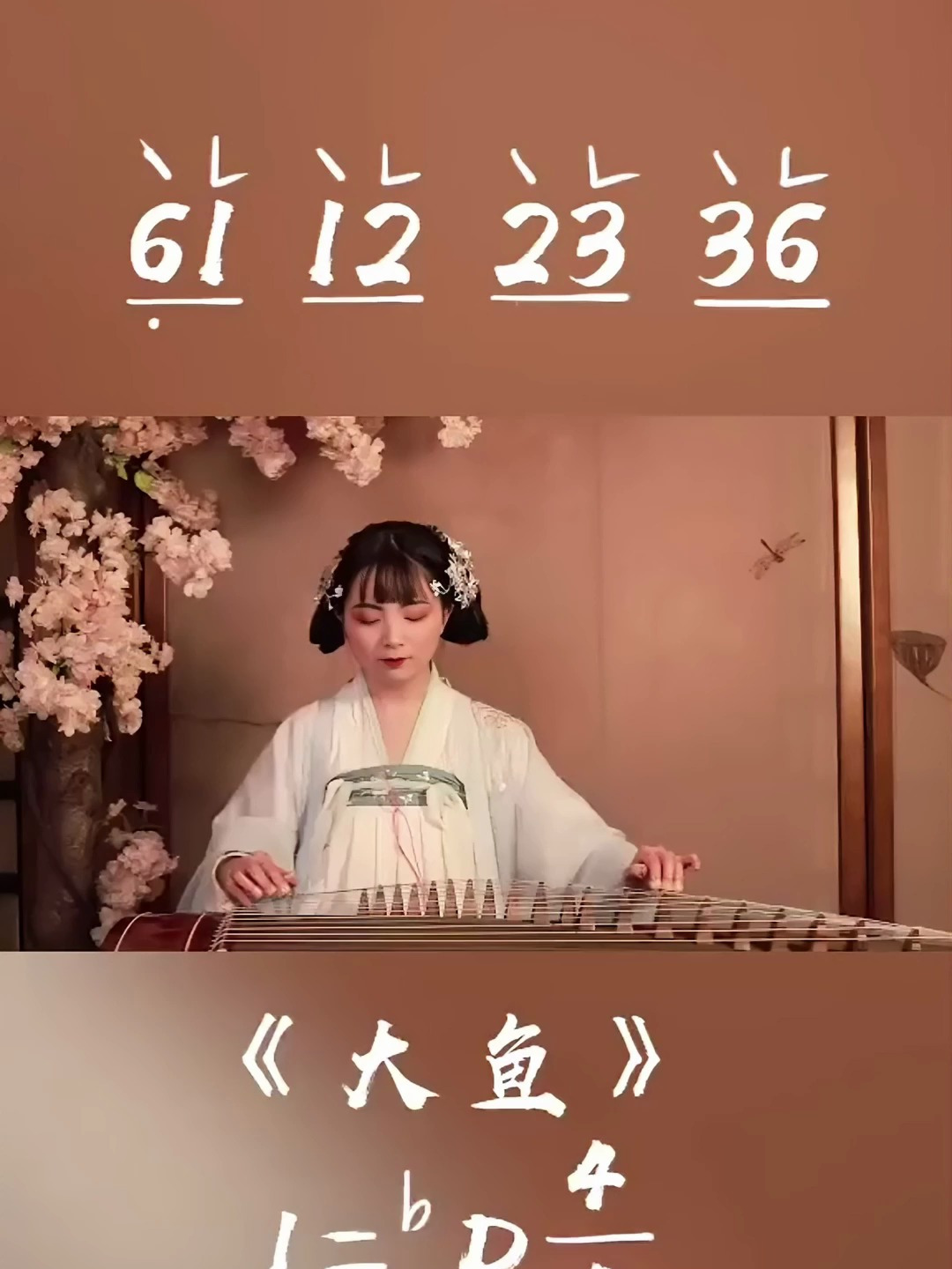 所有的不期而遇都是久别重逢-《大鱼》古筝版