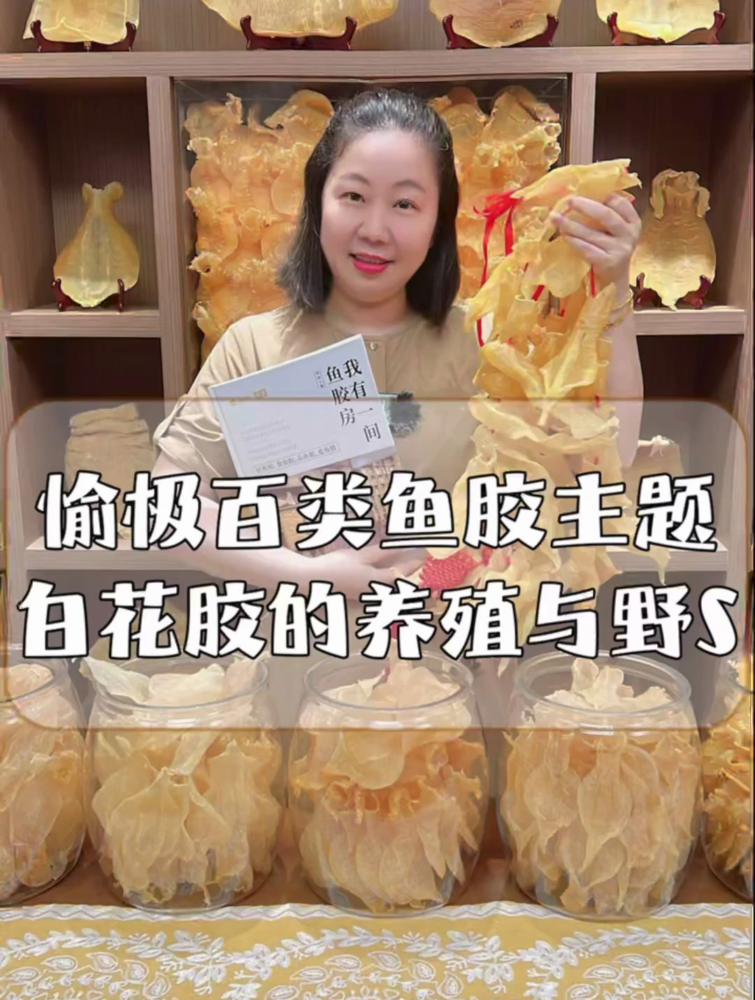 养殖白花胶的野生白花胶