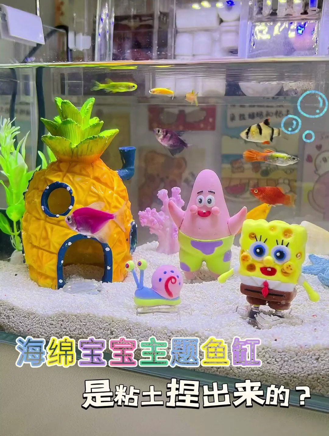 看我的鱼缸够不够大 不够大后面还有大的哦 手工