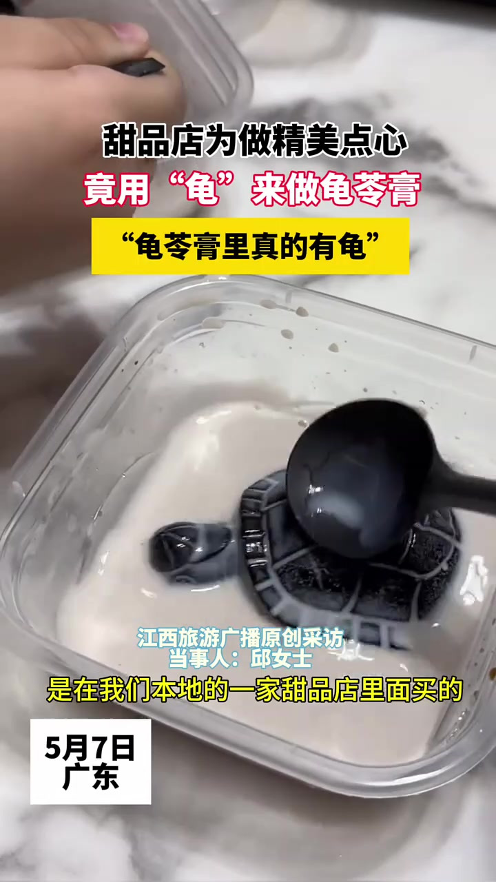 甜品店为做精美点心竟,用龟来做龟苓膏,龟苓膏里真的有龟