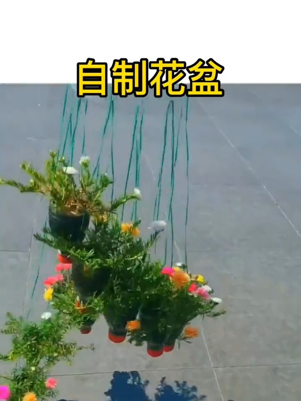 塑料瓶子改造花盆 不要的瓶子还能这样 手工diy 变废为宝
