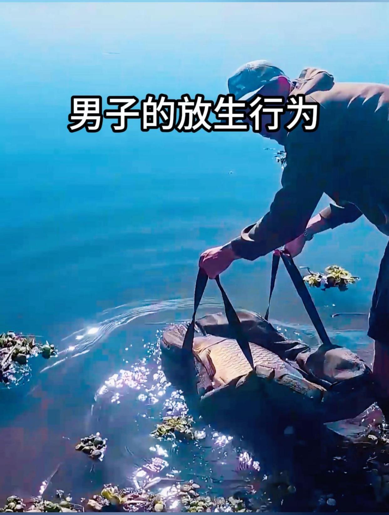 男子的放生一条大鲤鱼
