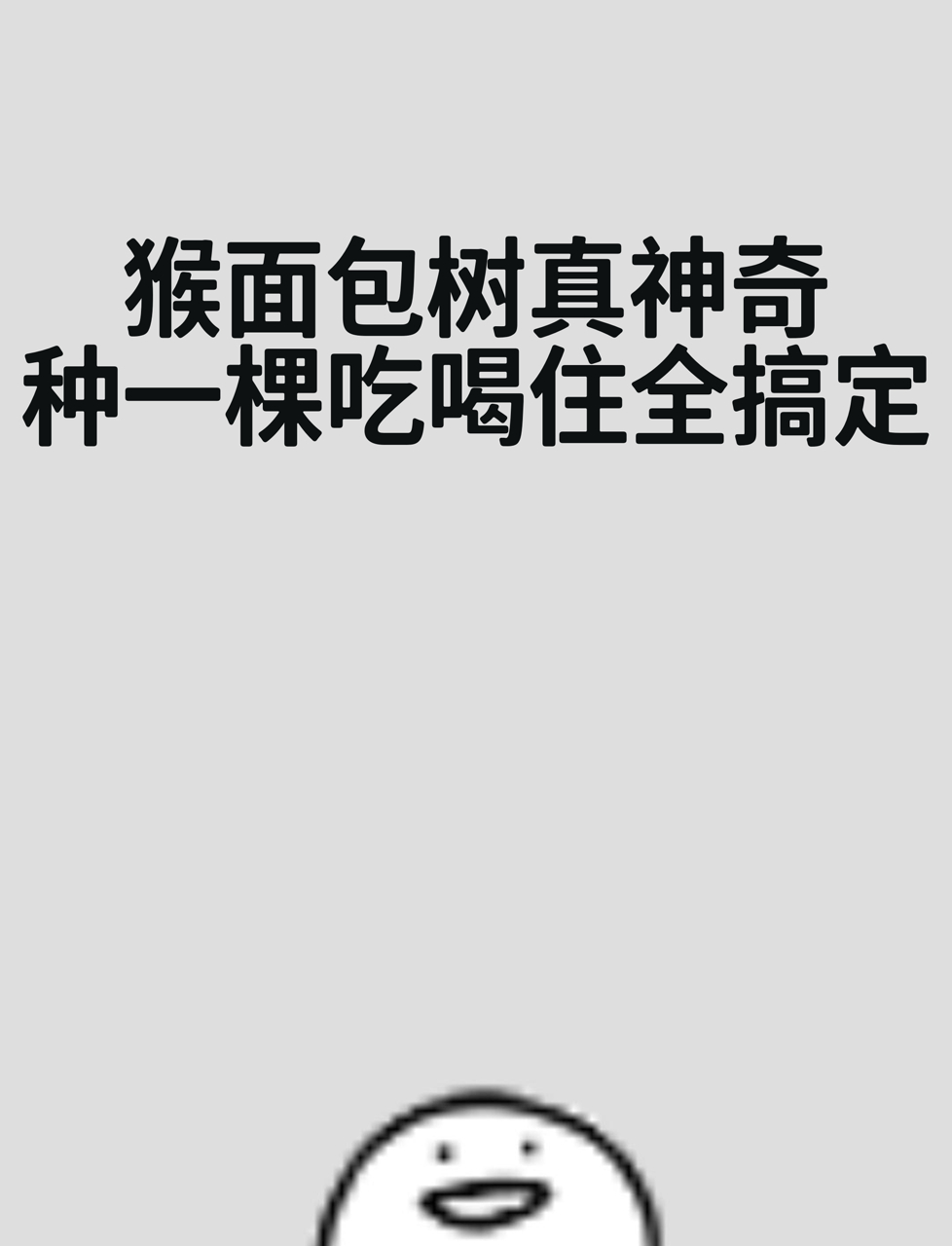 猴面包树真神奇,种一棵吃喝住全搞定