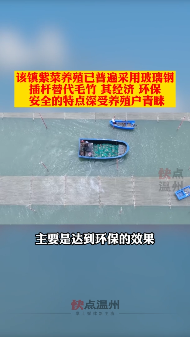 「39号视频」苍南:玻璃钢插杆替代毛竹养殖紫菜