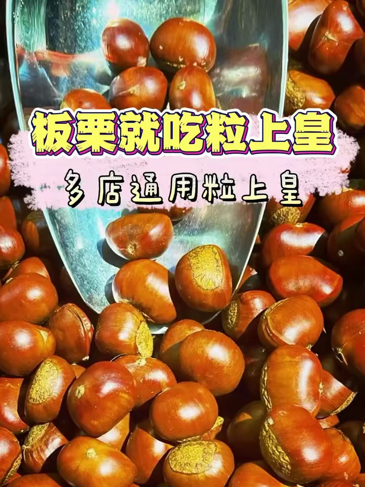 这波入秋板栗的快乐是粒上皇给的!