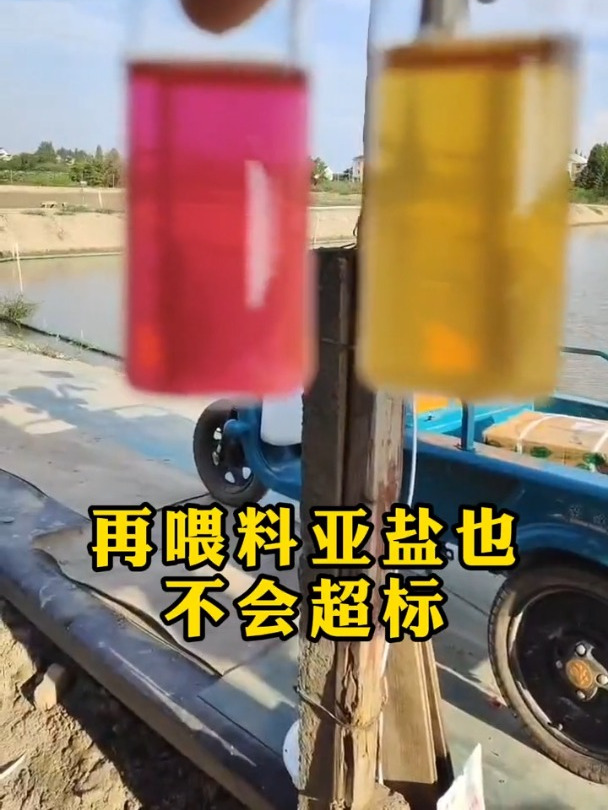 亚盐超标鱼虾蟹养殖南美白对虾亚盐鱼耀硝化细菌