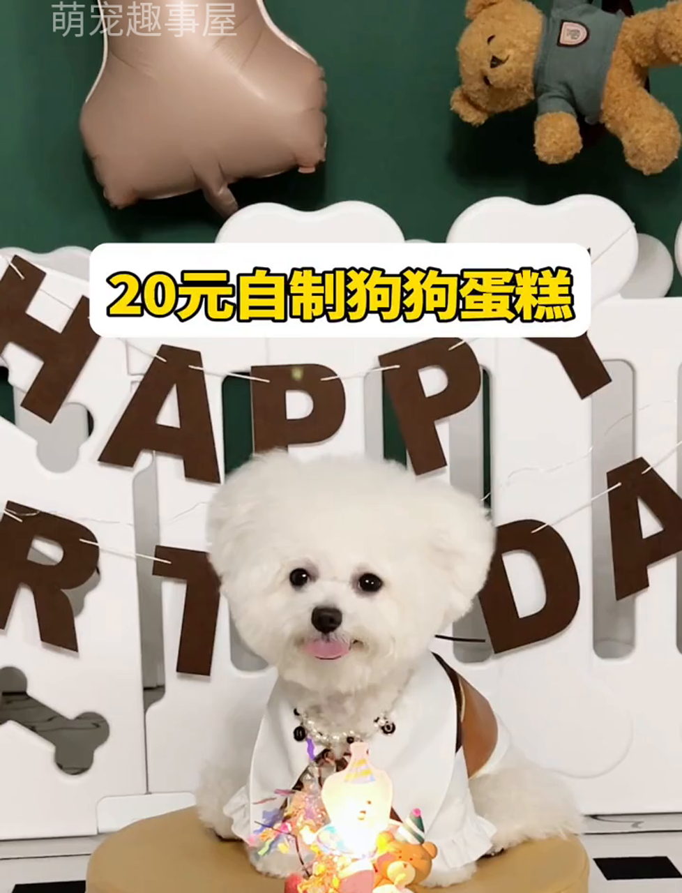 20块搞定狗狗生日蛋糕,手把手教你做:先备好西兰花、南瓜、胡萝卜、鸡胸肉、紫薯和酸奶第一步