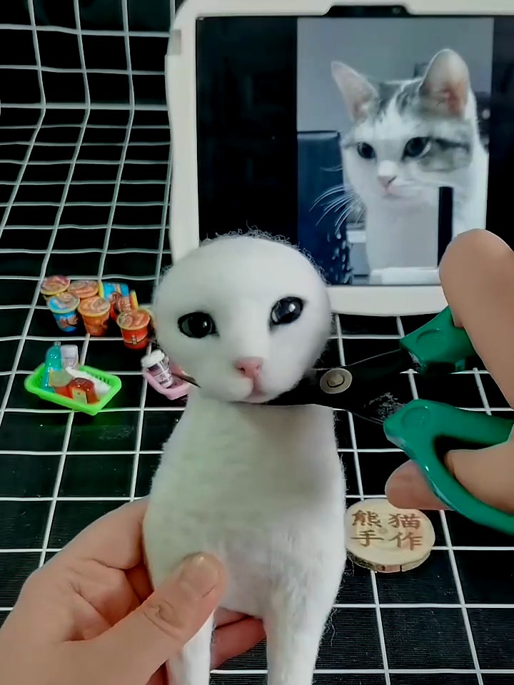 每制作一只羊毛毡,都仿佛在复活一只爱宠