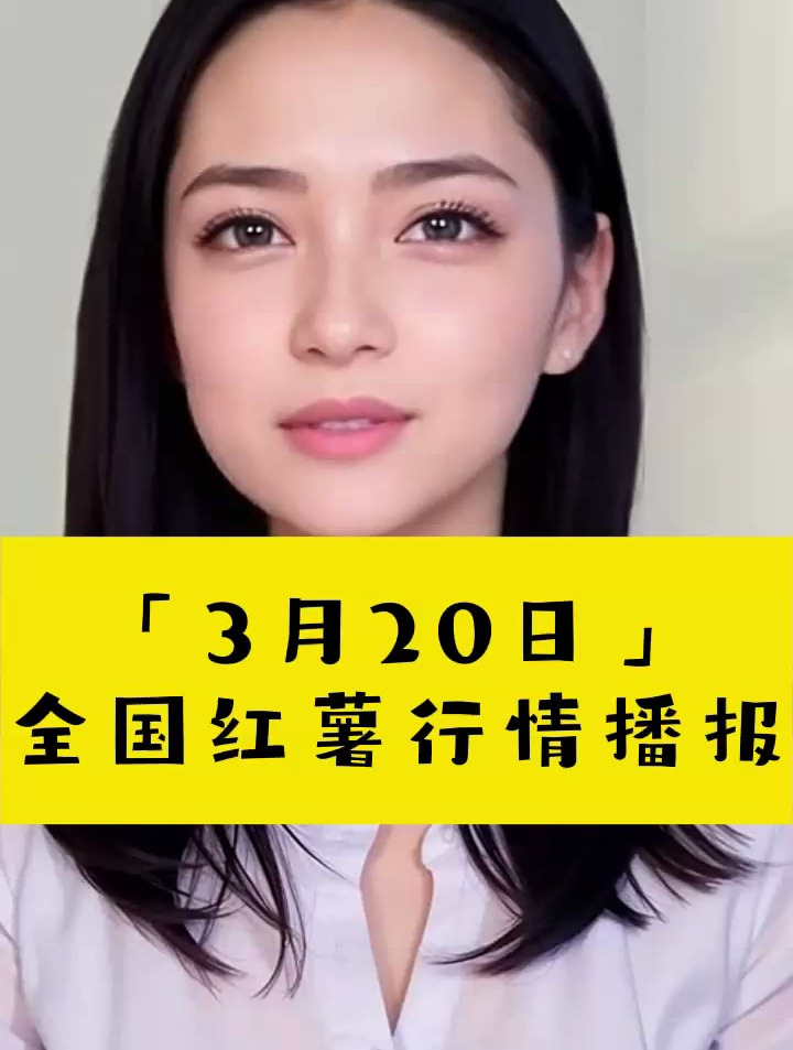 红薯全国价格行情走势,红薯批发,红薯批发价格,红薯批发行情