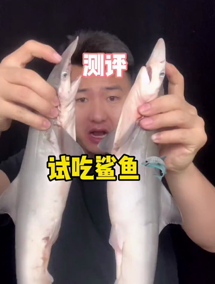今天给老铁们尝尝鲨鱼味道怎么样?鲨鱼肉你敢吃吗?