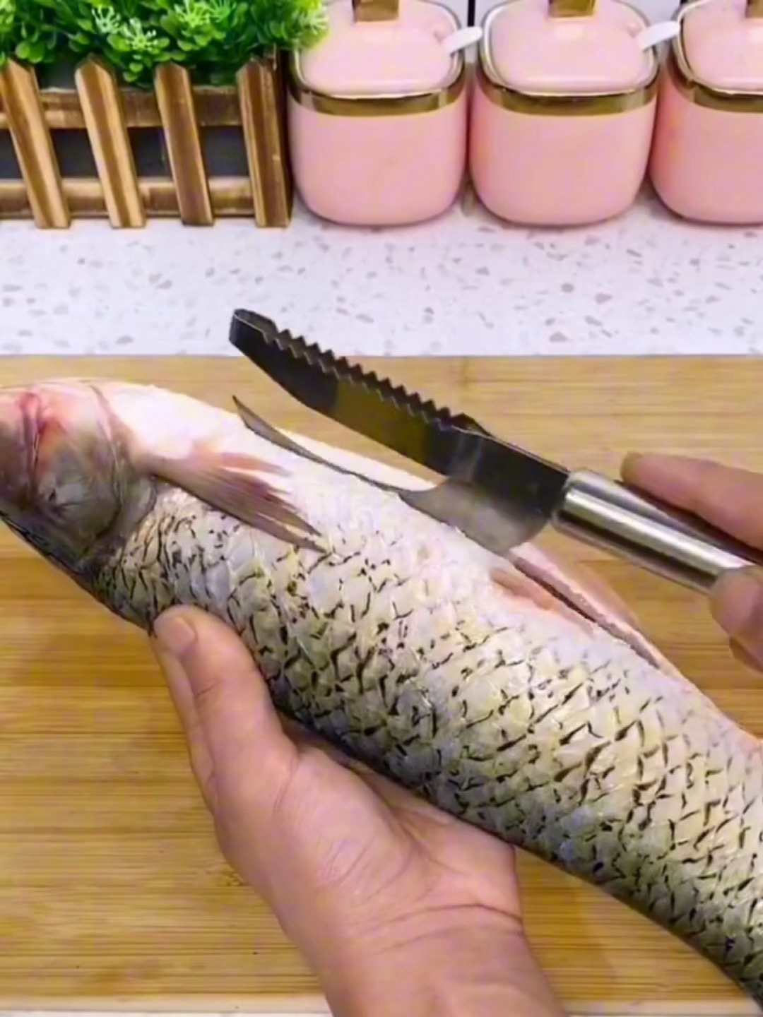 浙江鬼才新研发“鱼鳞刨刮鳞神器”,刮鱼鳞去鱼鳃,一气呵成