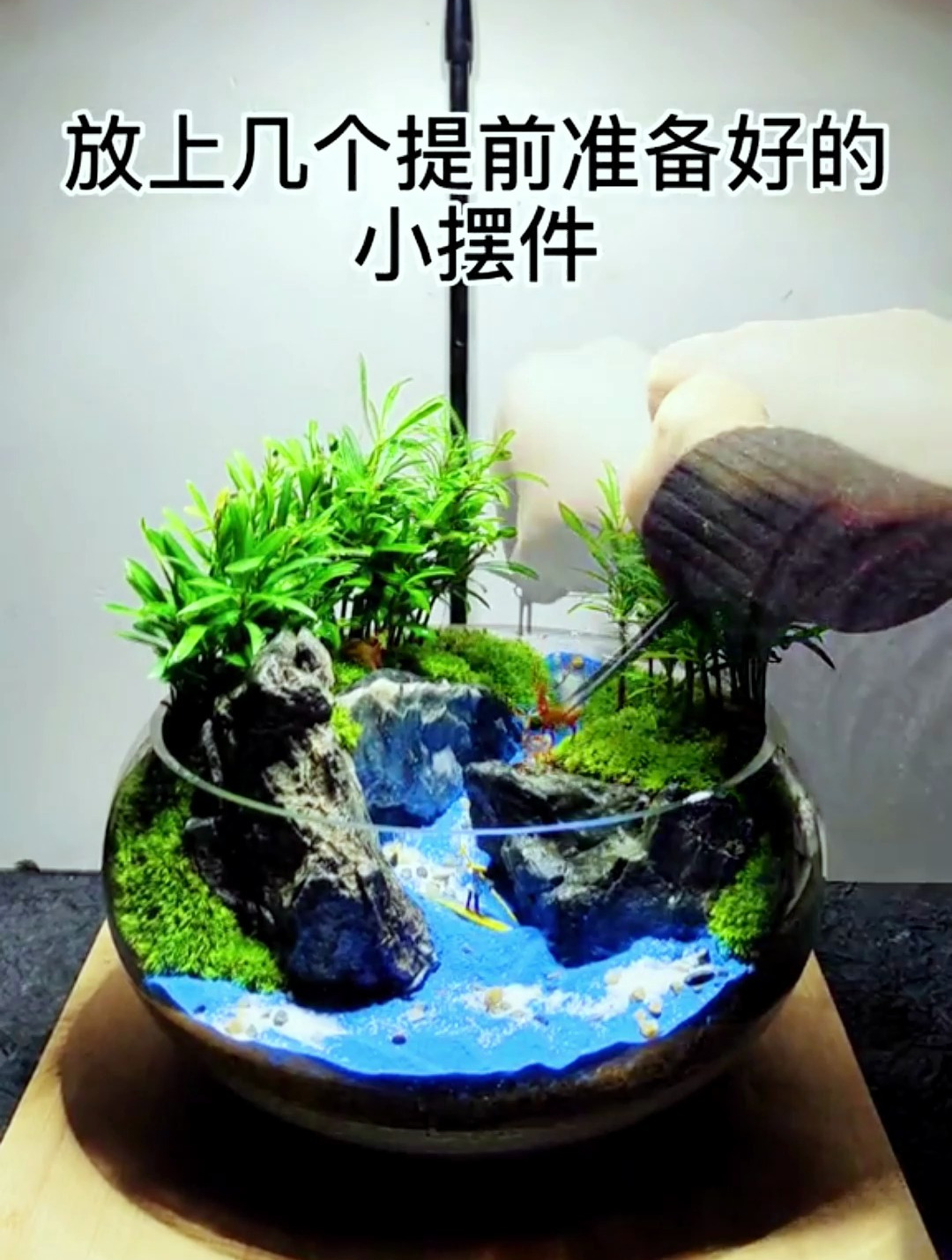 小金鱼不好养吗?不如腾个缸出来做个森林峡谷小景放在客厅!