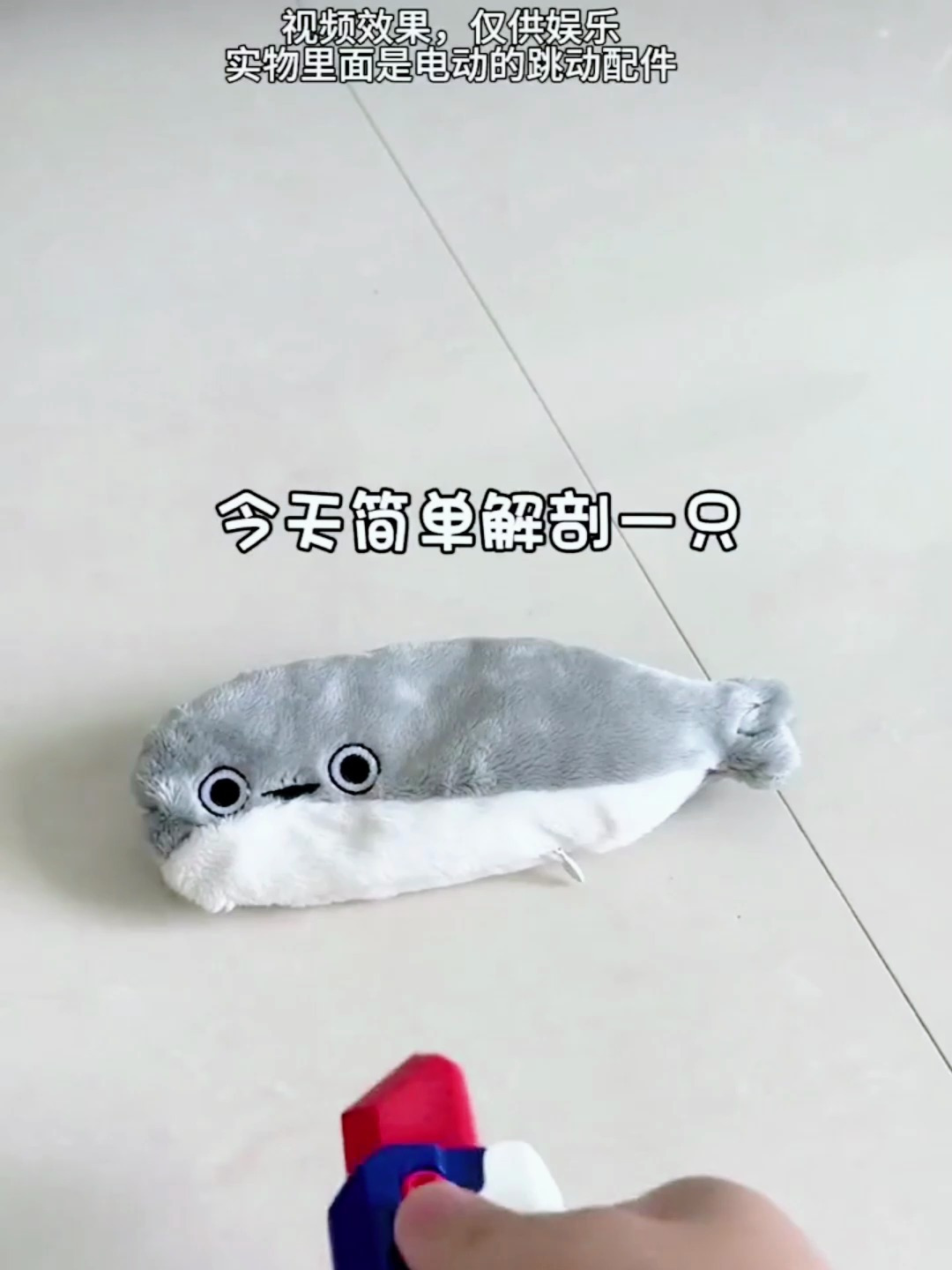 这只萨卡班甲鱼也太能吃了