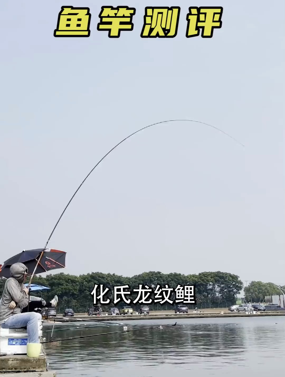测评化氏龙纹鲤IV,参数居然完败?