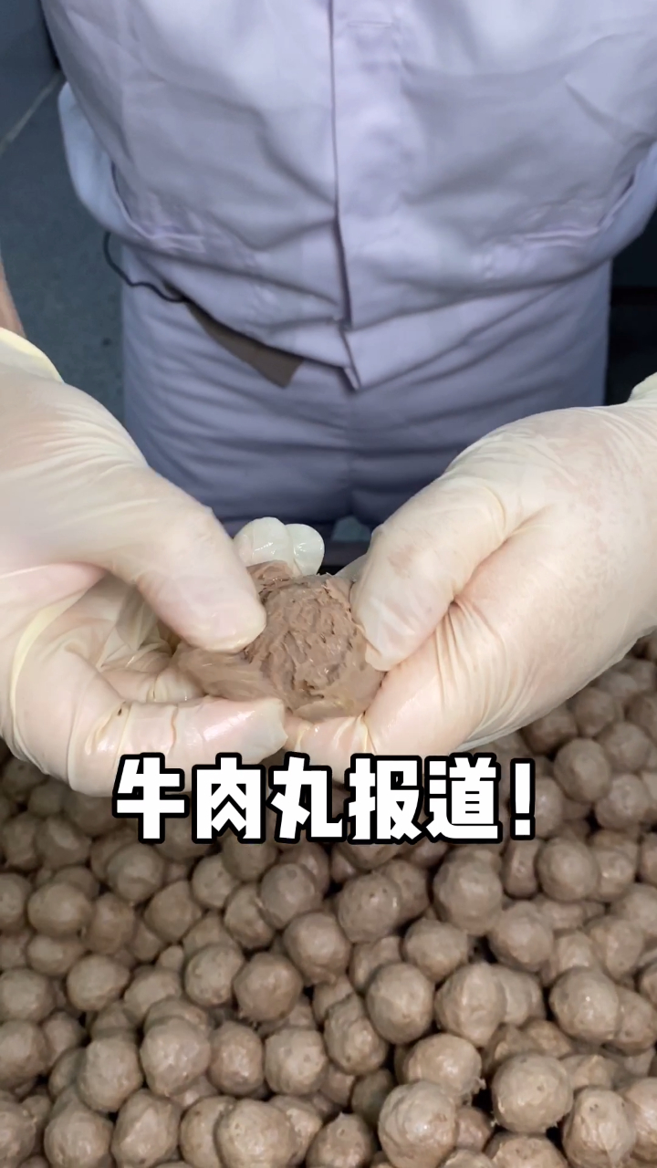 探寻牛肉丸工厂