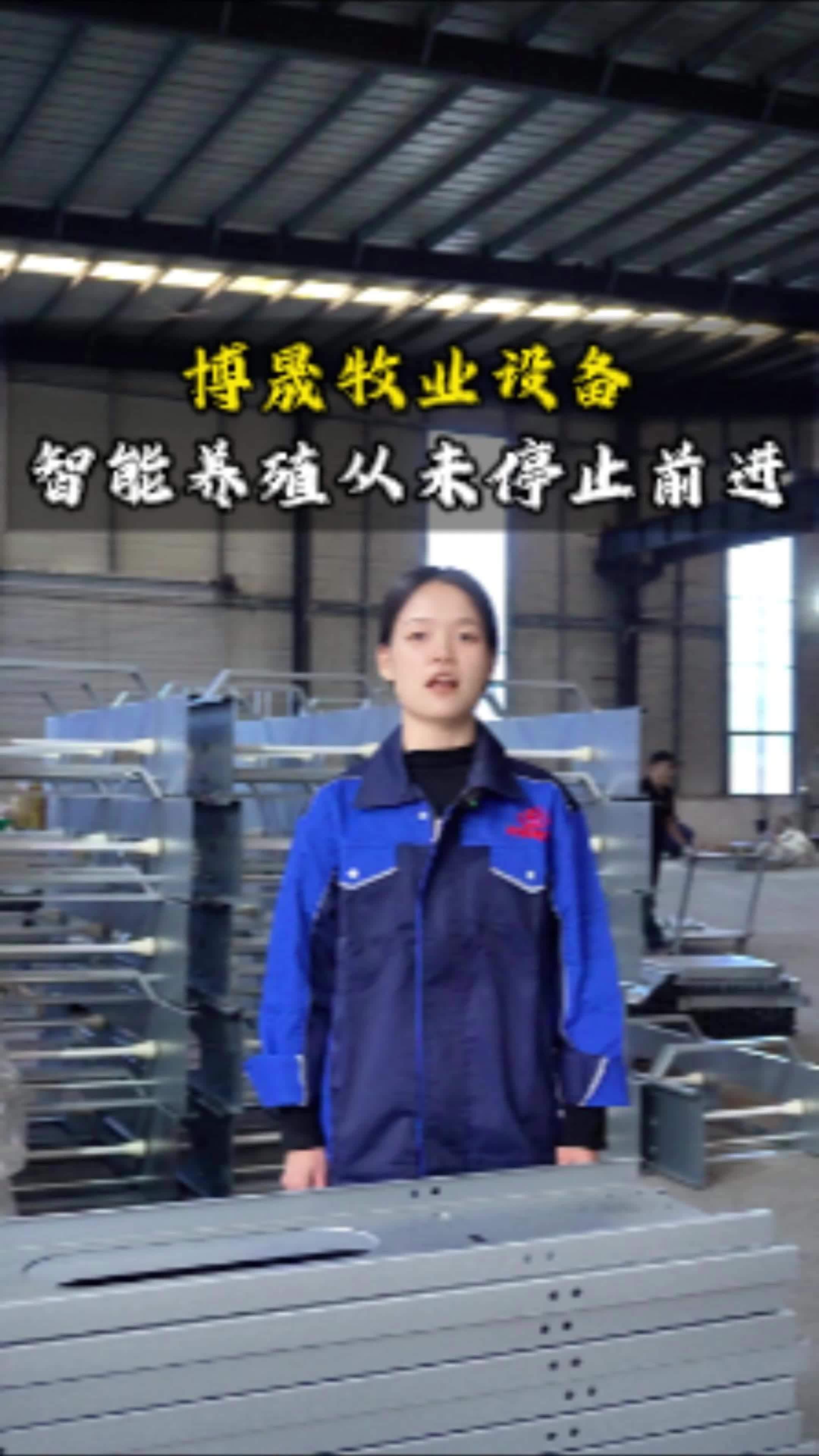 自动化养鸡设备源头生产厂家,欢迎各位老板莅临指导