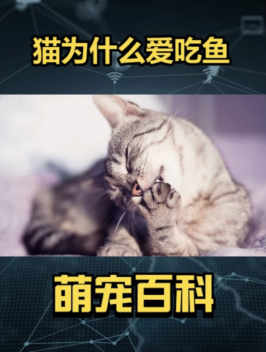 猫那么怕水,为什么喜欢吃水里的鱼