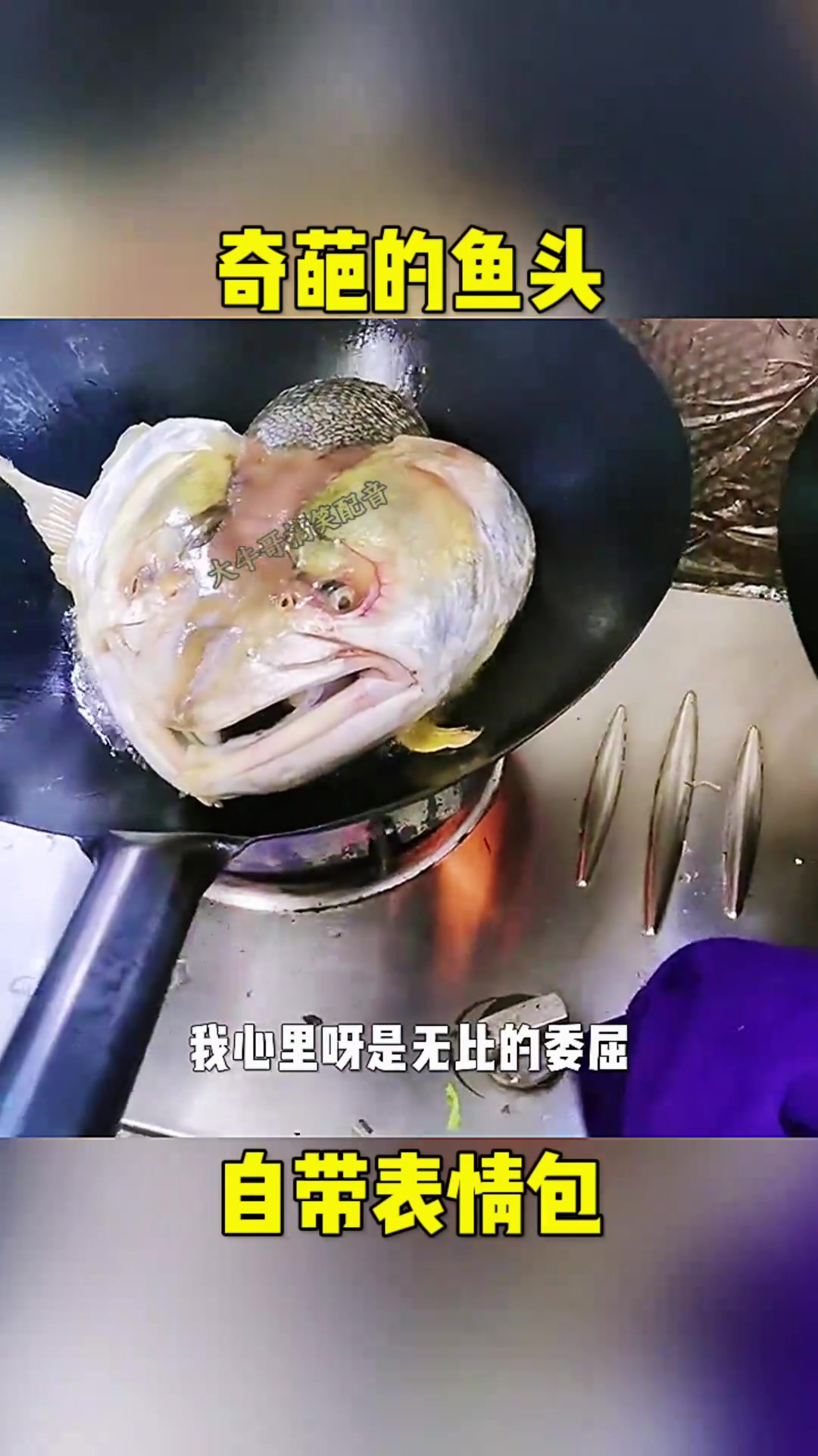 奇葩的鱼头,自带表情包