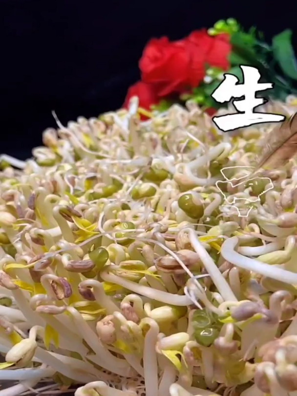 生豆芽你们用对方法了吗?