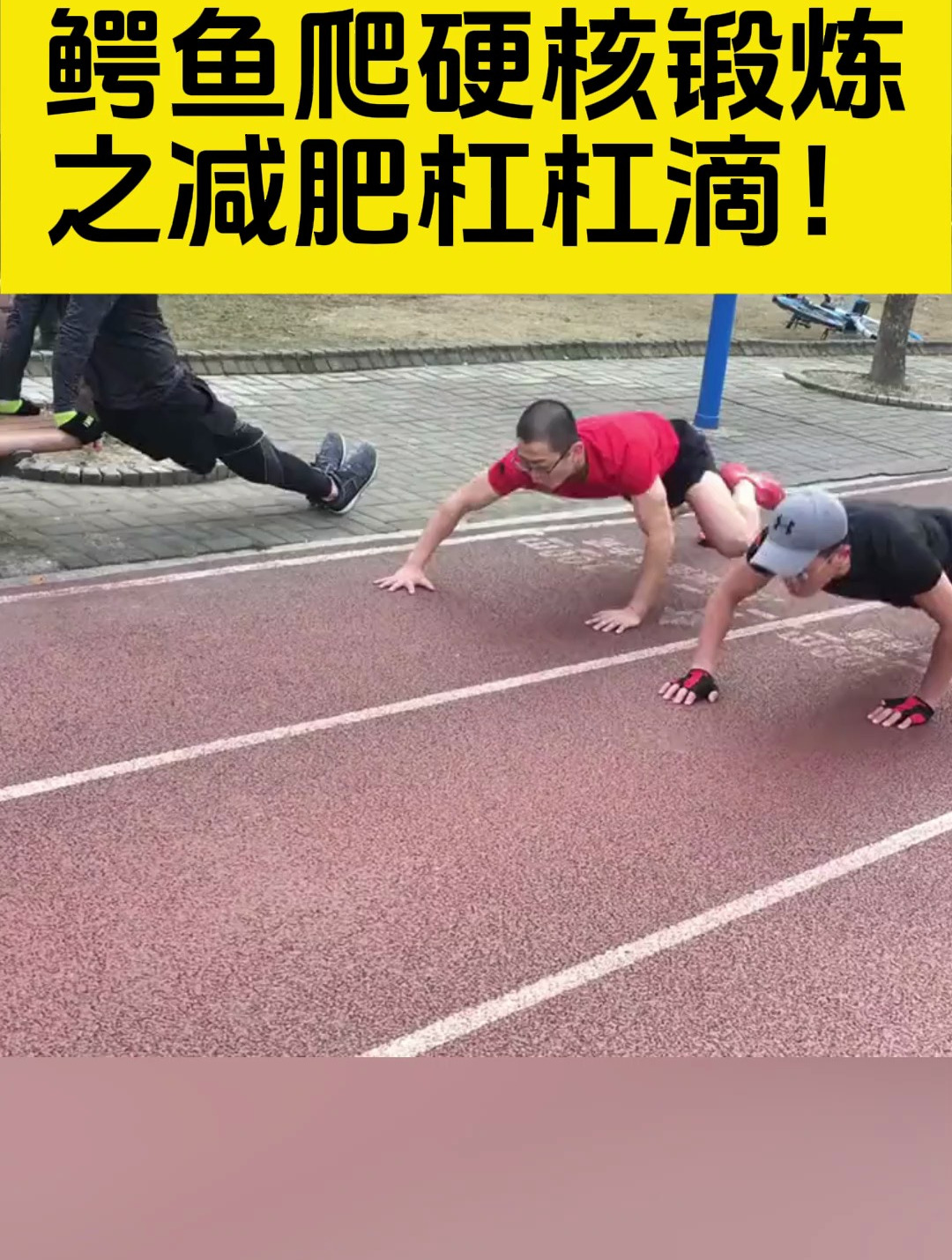 鳄鱼爬硬核锻炼之减肥杠杠滴!