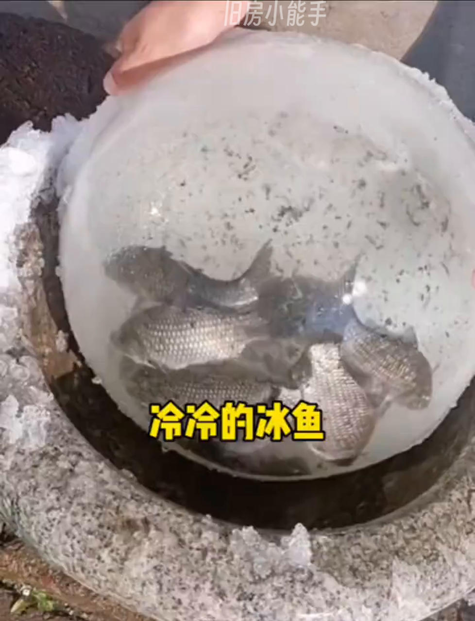 冰凉刺骨的鱼,冻得人直哆嗦