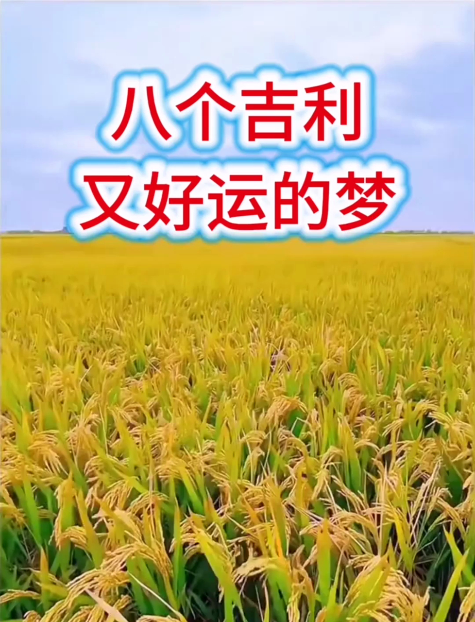 8 个吉利好运的梦!您梦到过吗?说不定福气要来了