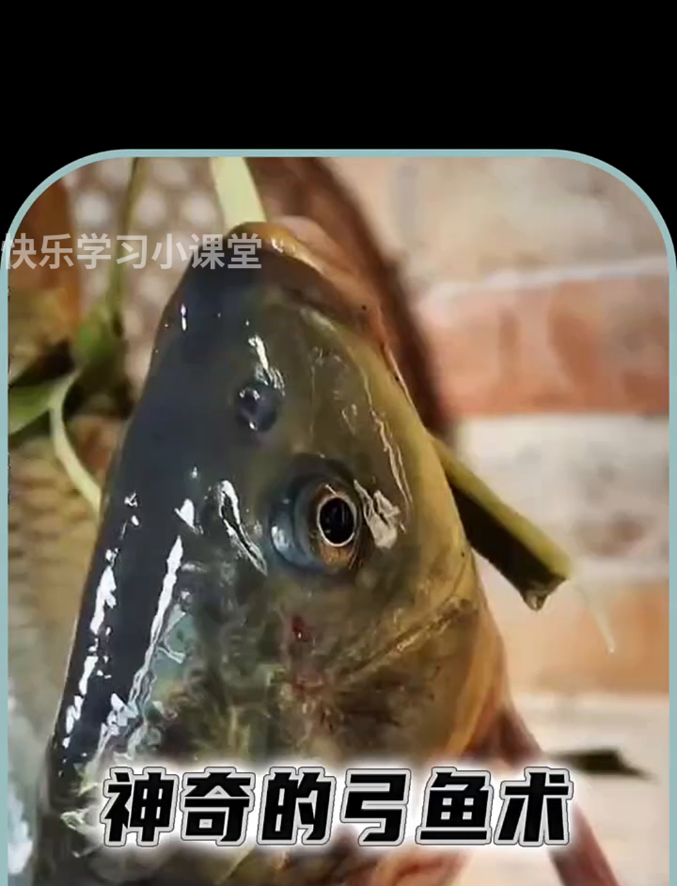 这招弓鱼术太神了,就是为了让鱼活蹦乱跳!