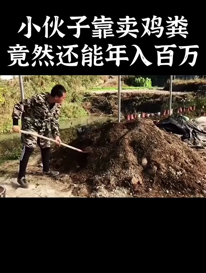 小伙子靠卖鸡粪,竟然能年入百万