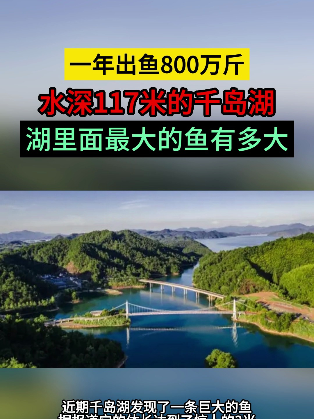 一年出鱼800万斤,水深117米的千岛湖,湖里面最大的鱼有多大?