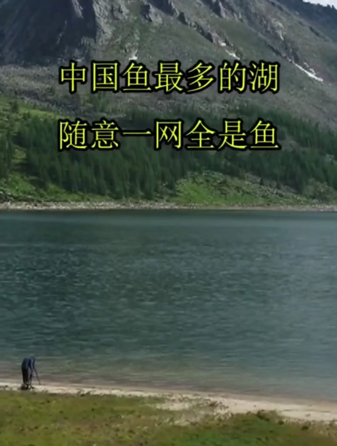 中国鱼最多的湖,随意一网全是鱼