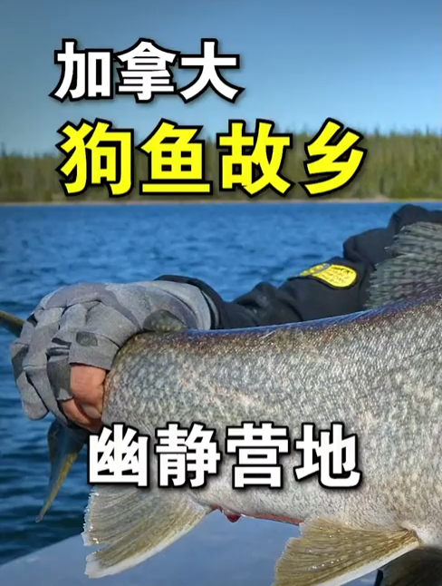 浮躁的心在这里能沉淀下来