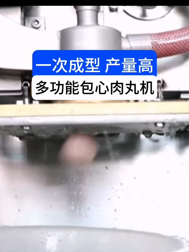 各种大小尺寸包馅鱼丸撒尿牛丸猪肉丸牛肉丸及包馅贡丸不包馅肉丸