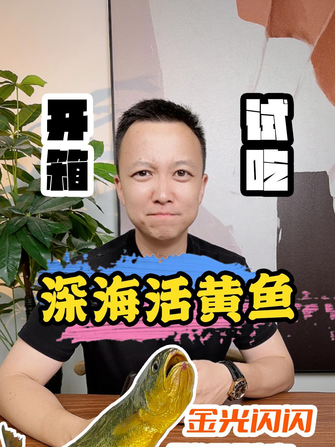 398元一条!活的黄花鱼!测评 黄花鱼 大黄鱼 吃鱼 海鱼