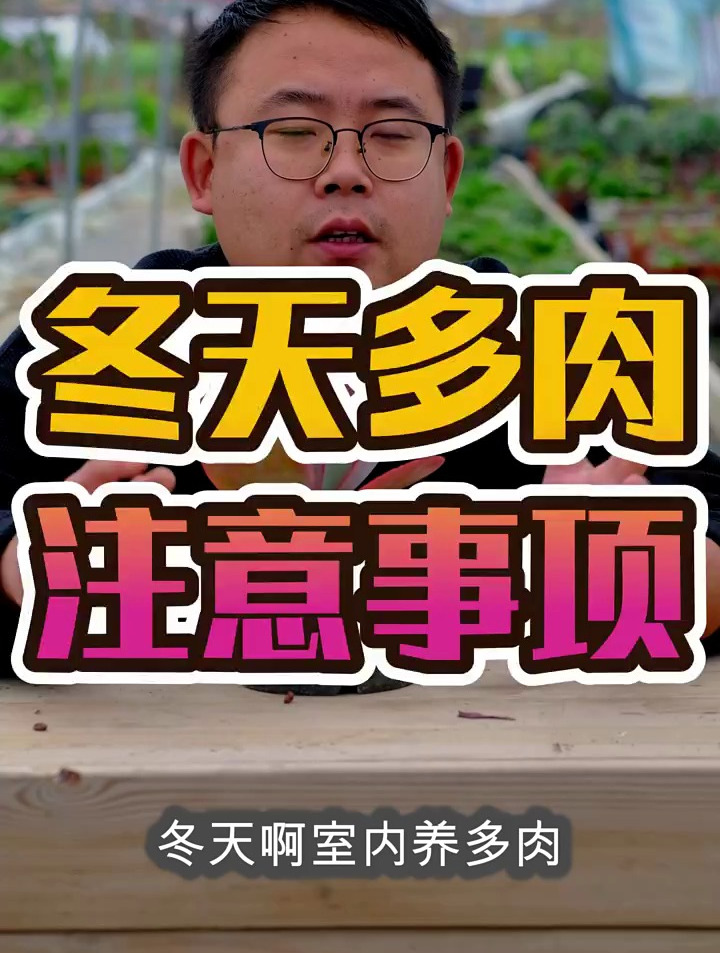 冬天的多肉植物养护需要注意什么