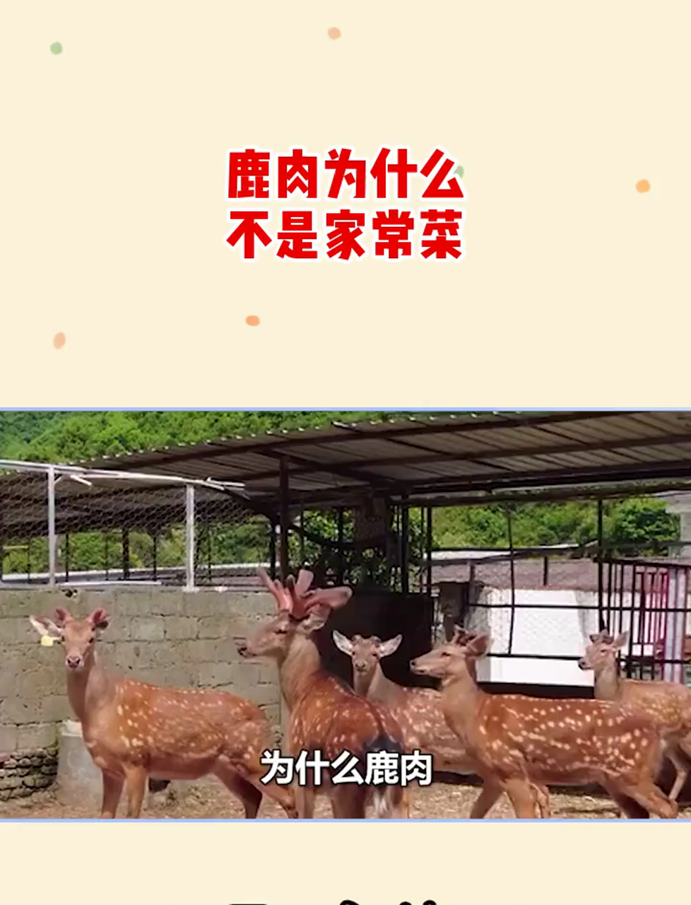 为什么鹿肉,没有牛肉羊肉那样,成为广泛的食材?