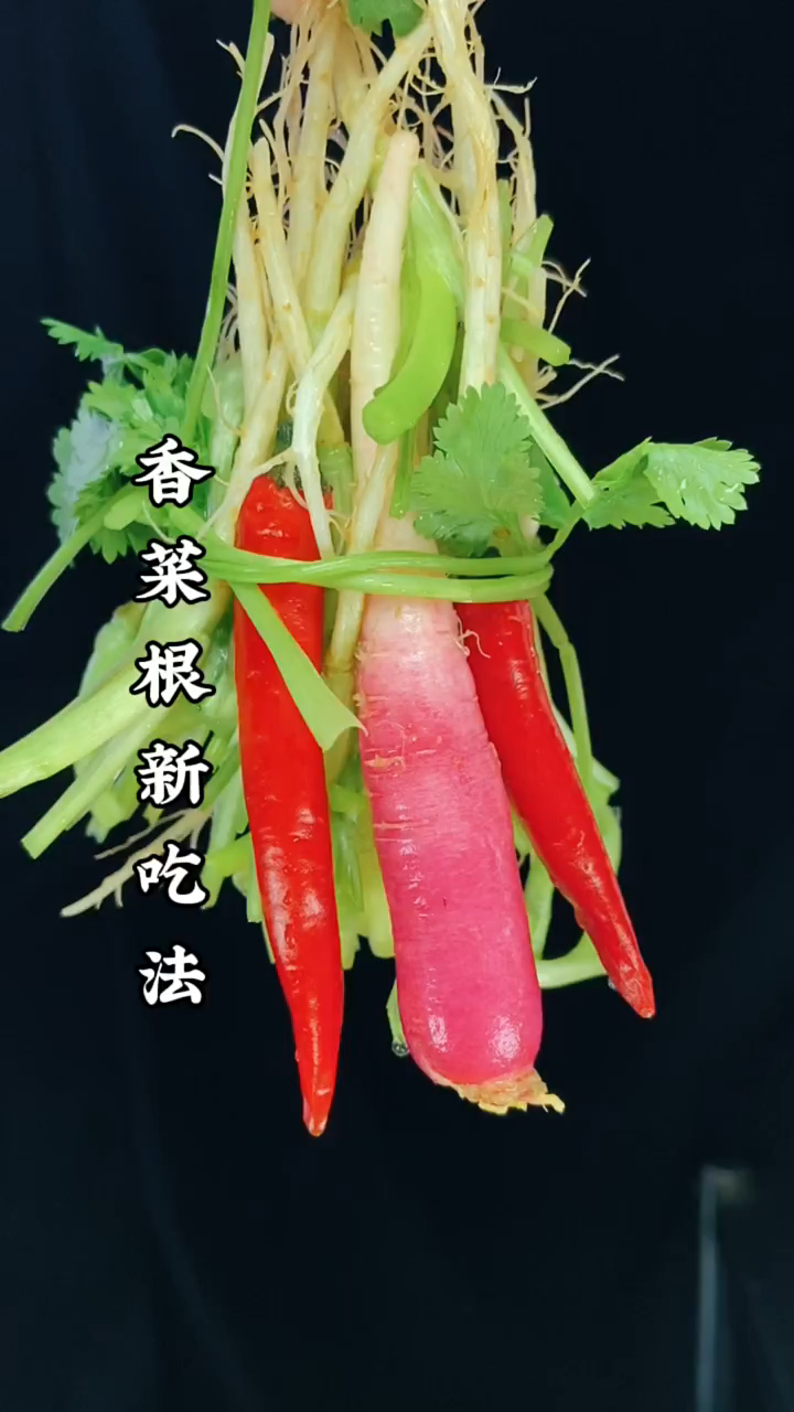 香菜根新吃法,来学起来